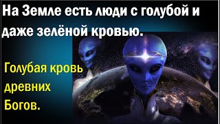 На Земле есть люди с голубой и даже зелёной кровью. Голубая кровь древних Богов.