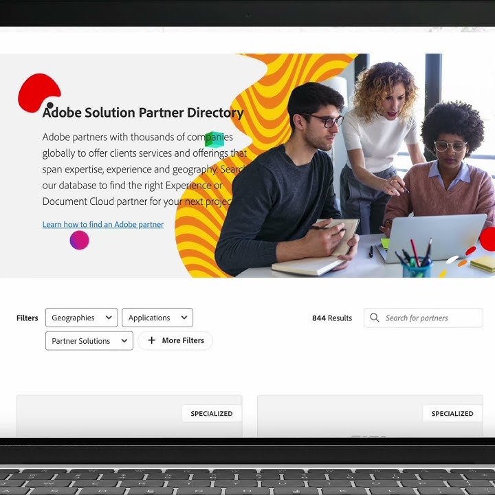 nesea: Adobe Bronze Solution Partner