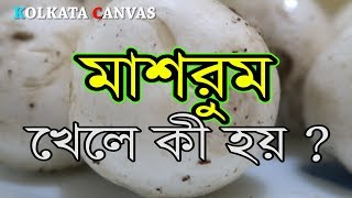 মাশরুম খেলে কি হয় ? জানতে এই ভিডিওটি দেখুন।