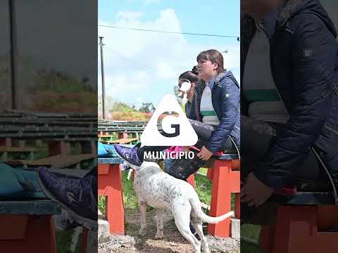🐶Cuidado de mascotas🐶