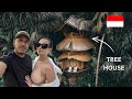 50000 rs per night luxury tree house in bali  full experience 