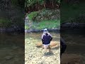 #takot #madulas #ilog malinaw#vairalvideo #shorts