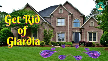 How to Get Rid of Giardia in Your Yard? Prevention of Giardia | How to Treat Giardia? #Giardia