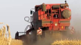 Żniwa 2019Case Axial Flow 2366 New Holland Clayson 8060 W Akcji Ustro Team