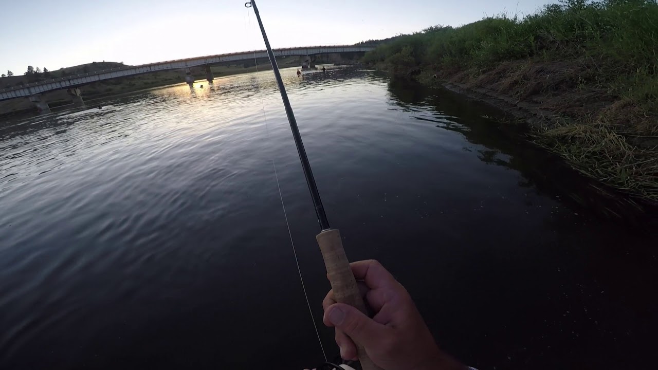 Dry Fly Fishing the Missouri River in Montana 5 YouTube