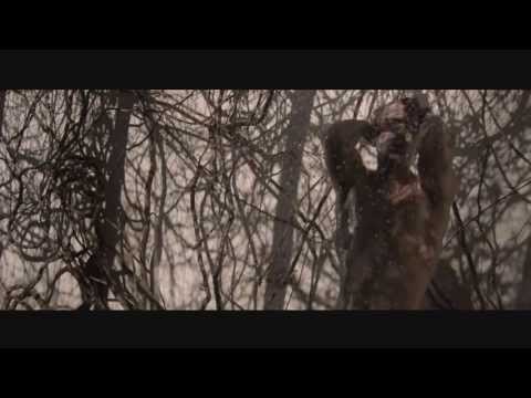 ΟOZOO International campaign