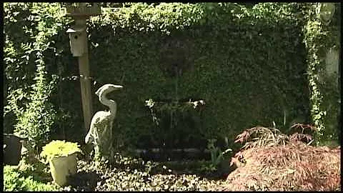 Locklear's Garden