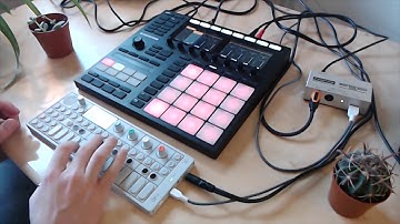 HOW TO PLAY THE OP-1 USING MASCHINE (Velocity, Patterns, Chord mode, and more!)