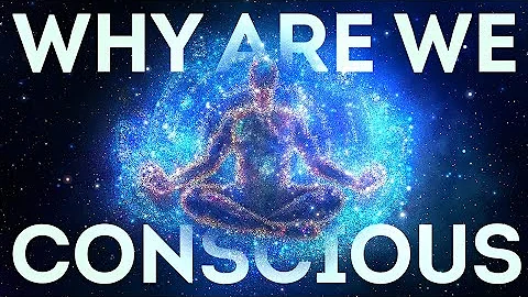 What Is Consciousness? -Annaka Harris