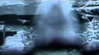 Nisa ( ŞAŞIRMIŞIM ) ORJİNAL KLİP 2011 en cok konuşulan SES GETİREN PARCASI