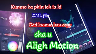 Kumno Ban Copy Iaki Xml Files Sha U App Alight Motion