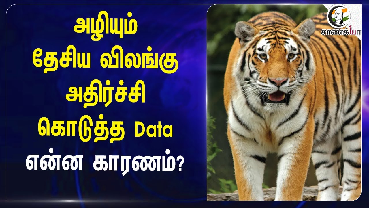 ⁣அழியும் National Animals அதிர்ச்சி கொடுத்த Data என்ன காரணம்? | Tiger | Forest | Environment
