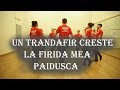 Video thumbnail of "CUM SA DANSEZI UN TRANDAFIR CRESTE LA FIRIDA MEA ( PAIDUSCA) ! ! !"