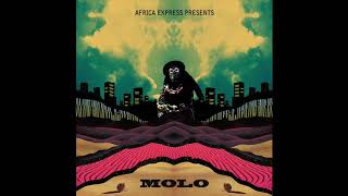 Africa Express - 'Xhosa'