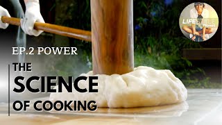 The Science of Cooking: Power | How does gluten affect flour? | Documentary food series
