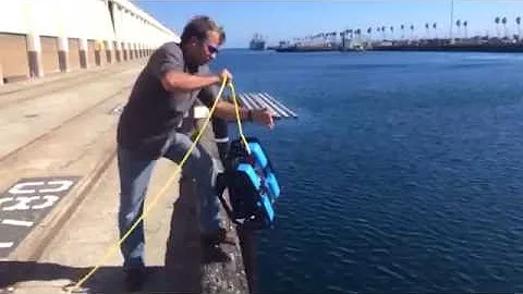 BlueROV2 Dive - San Pedro, Near AltaSea