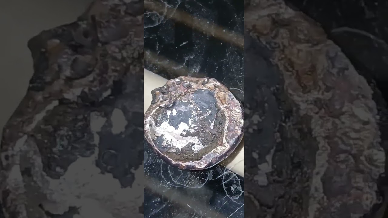 التهريج وفصل المعادن وفصل الذهب 