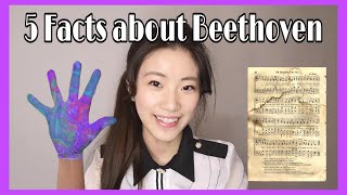 5 Facts about Beethoven! 貝多芬小知識 History and Facts| Hong Kong| Lululu English Paradise