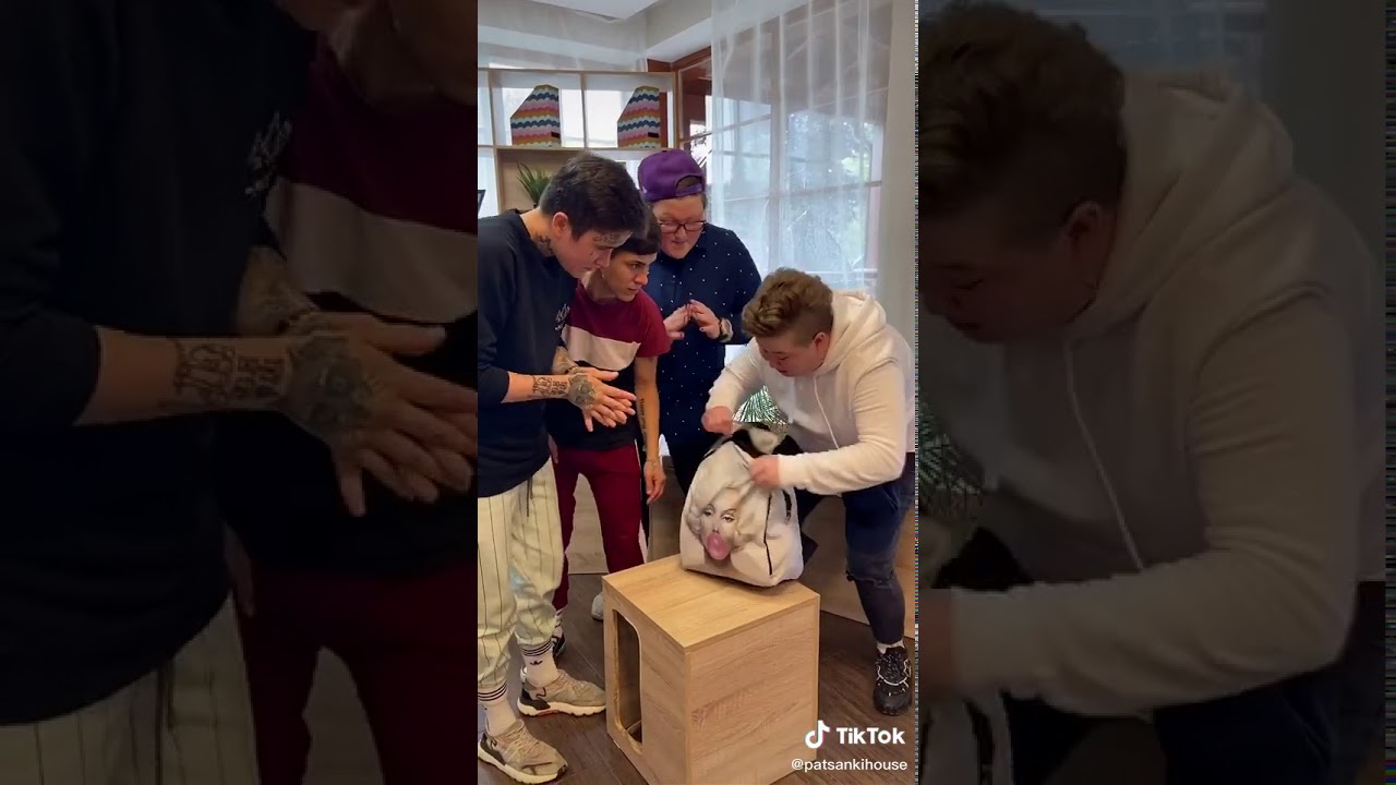 Голубцова зарина после проекта