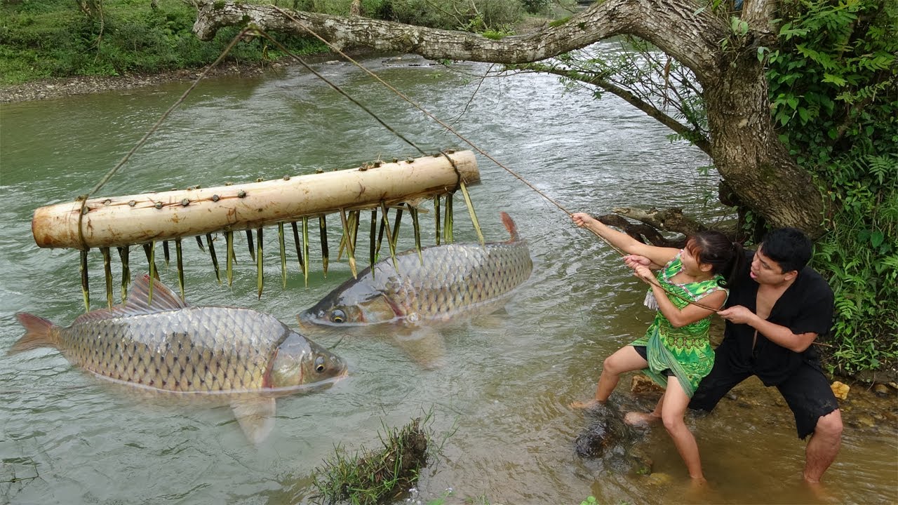 Smart Fishing Build Fish Trap Catch A Lot Of Fish / Survival In The Forest,  Cooking Fish 