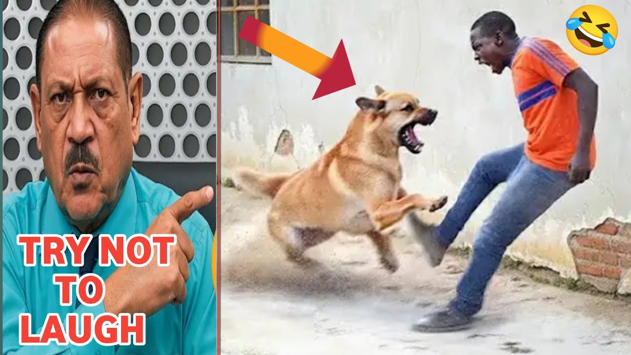 Try Not To Laugh Challenge🤣 | Crazy Funniest Video Ever In The World Ep. 73