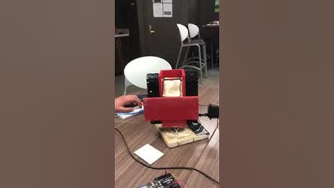 Capstone Project - ECE 1304: Demo