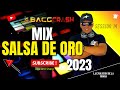 Salsa de oro mix  barranquilla me quedo mambo rock la rebelin ojitos chinos  dj bacgcrash