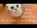 pine litter box monthiversary