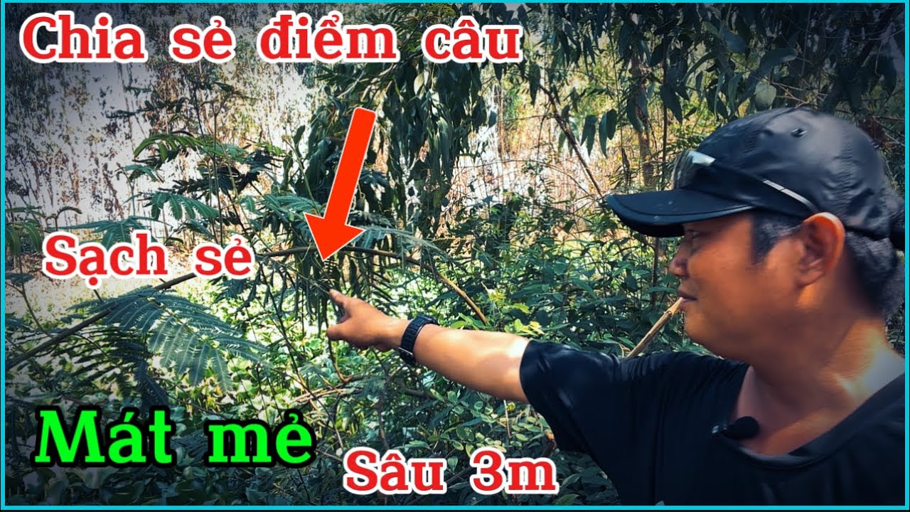 Chia sẻ 2 điểm câu cá,mát mẻ,sạch sẻ,độ sâu 3 mét giật cá bao phê