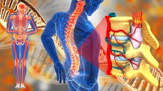 Healing Music for Relieving Back & Spinal Pain- 432Hz, Complete Restoration of Intervertebral Discs🍀