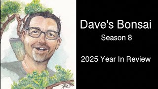 2025 Year in Review:  Dave's Bonsai E553
