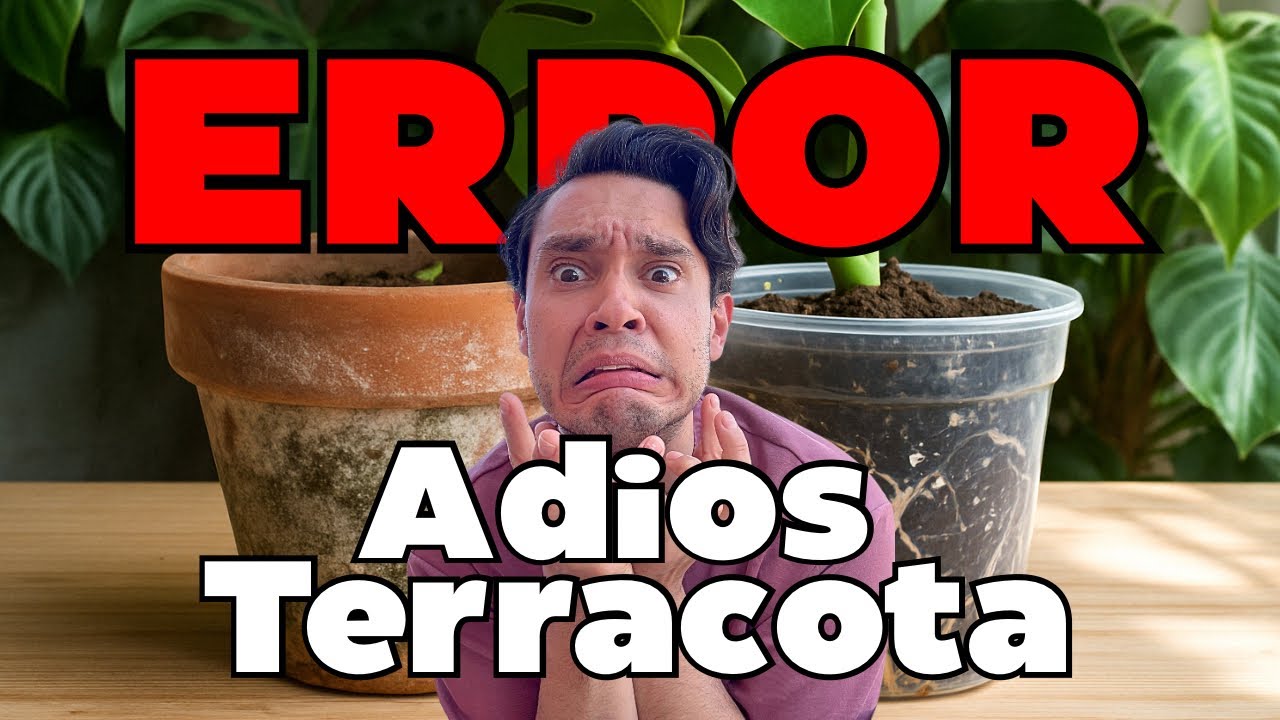 ¿MACETAS de Terracota o Plástico? El ERROR que arruinaba mis plantas | La Reina Plantil