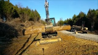 How much does that Weigh? Putting a weight to this Big Log...