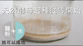 《不萊嗯的烘焙廚房》天然酵母起種從零開始 (麵粉+水)