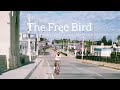 The Free Bird