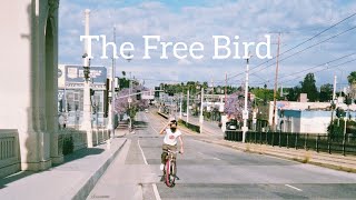 The Free Bird