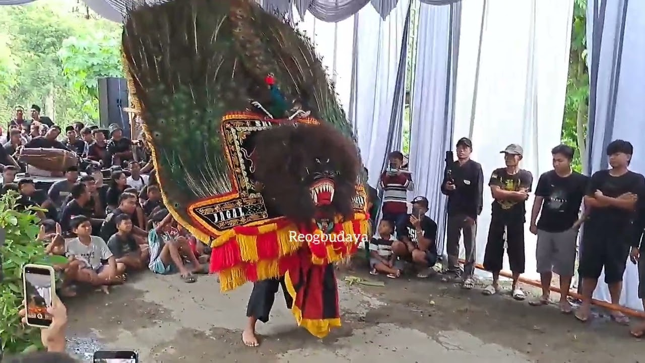 REOG PONOROGO KEPALA HITAM NGAMOK DESA TANJUNG SARI