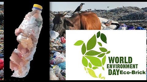 Eco-Bricks and Plastic | World Environment Day SPECIAL!!