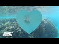 Snorkeling House Reef Brayka Bay Northside / Marsa Alam / Egypt Gopro Black 7 Underwater