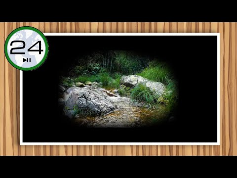 [PANTALLA NEGRA] ⬛ Sonido de RIACHUELO y PÁJAROS para Dormir 💦🌳🐦 Agua Fluyendo y Pájaros Cantando