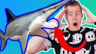 *THATS TERRIFYING!!!* 10 Animals Youre GLAD Are Extinct Today!