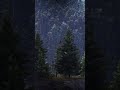 DEER From The HEAVENS!? | Way of the Hunter #shorts