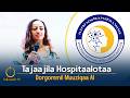Tajaajila Hospitaalotaa  | Dorgommii Muuziqaa AI