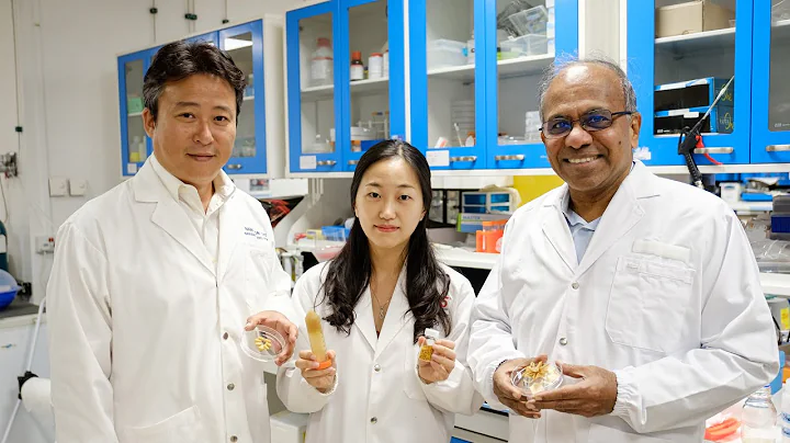 NTU Singapore scientists turn ultra-tough pollen into flexible material