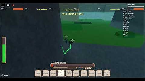 Exploiter Moment :pensive: | ROBLOX Rogue Lineage