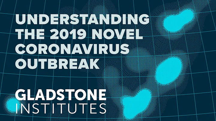 Understanding the 2019 Novel Coronavirus Outbreak - DayDayNews