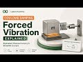 Forced Vibration with Coulomb Damping in Simulink | Equivalent Viscous Damping Explained