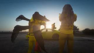 Libra RP | Official Launch Trailer