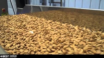 Almond sorting machine Helius & Genius - TOMRA Sorting
