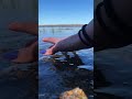 These Water ASMR Sounds Feel Unreal 🌊🤯 #waterasmr #satisfyingsounds #oddlysatisfying #asmr
